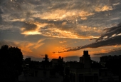 IIP Online Student Photography